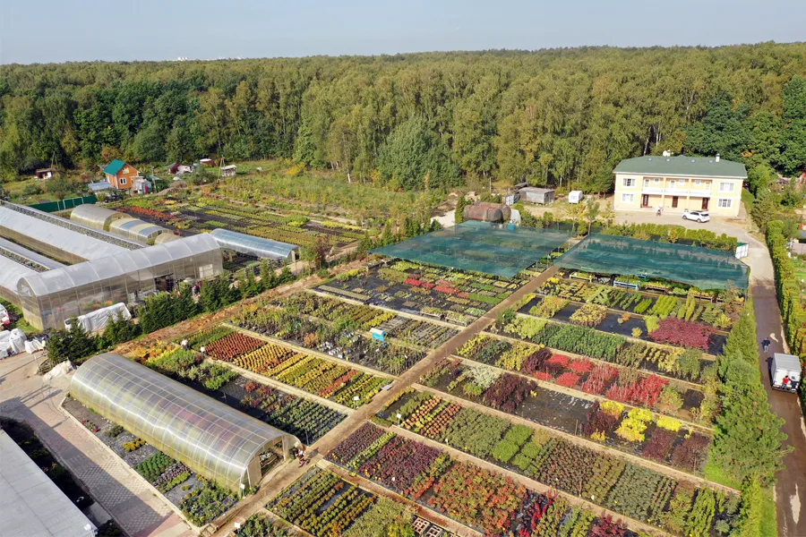 Питомник «Вашутино»